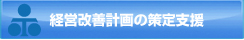 経営改善計画の策定支援